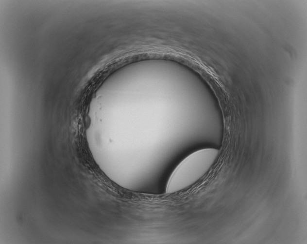 X0000113271495200909101300