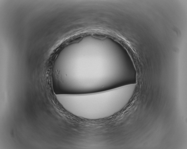 X0000113271496200909101300