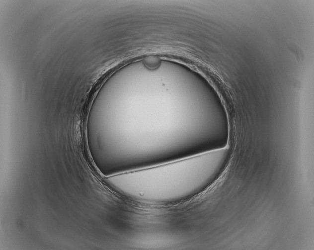 X0000113271497200909101300
