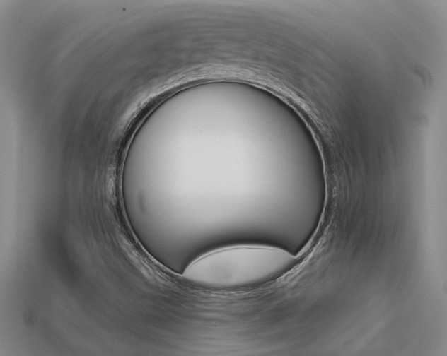 X0000113271499200909101300