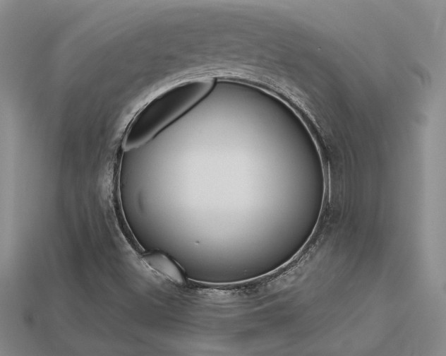 X0000113271500200909101300