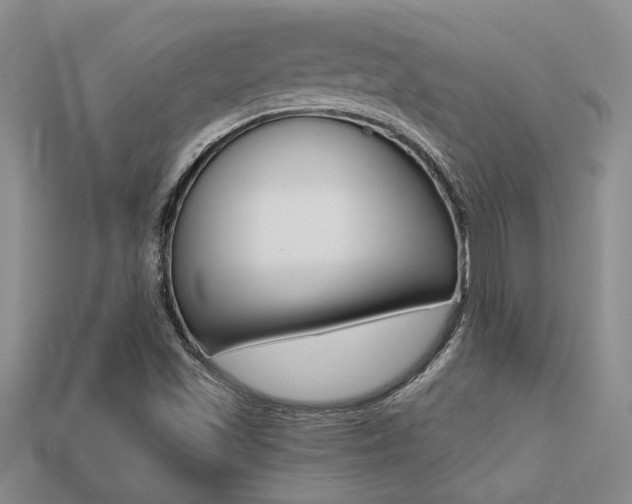 X0000113271501200909101300