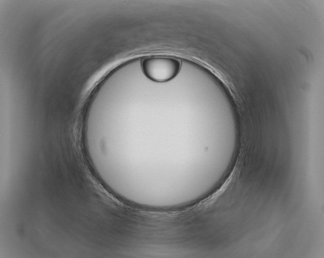 X0000113271502200909101300