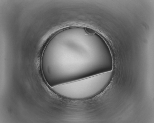 X0000113271503200909101300