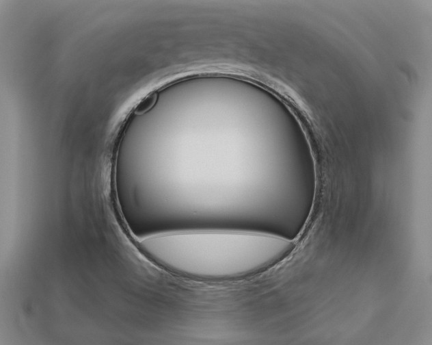X0000113271504200909101300