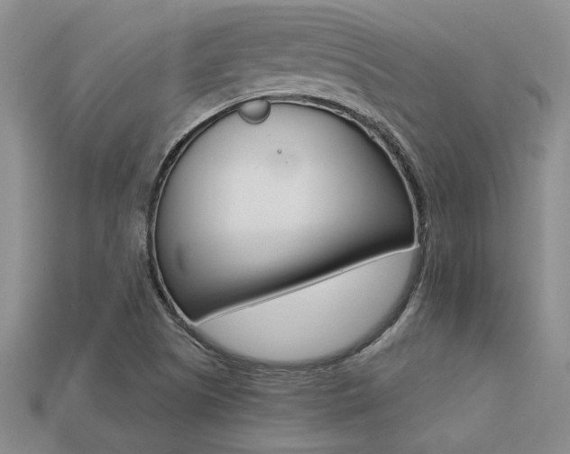 X0000113271505200909101300