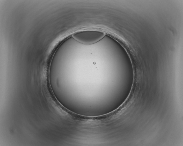 X0000113271506200909101300