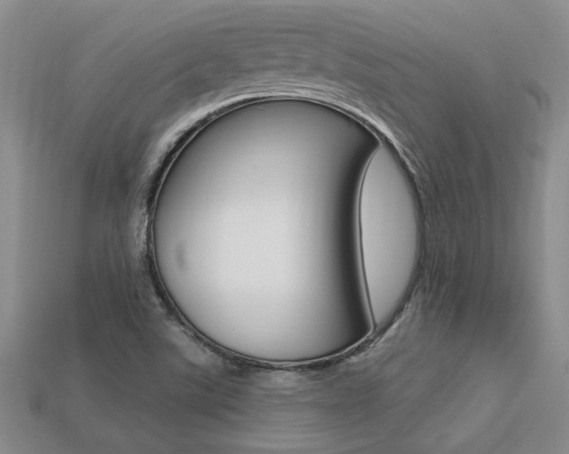 X0000113271507200909101300