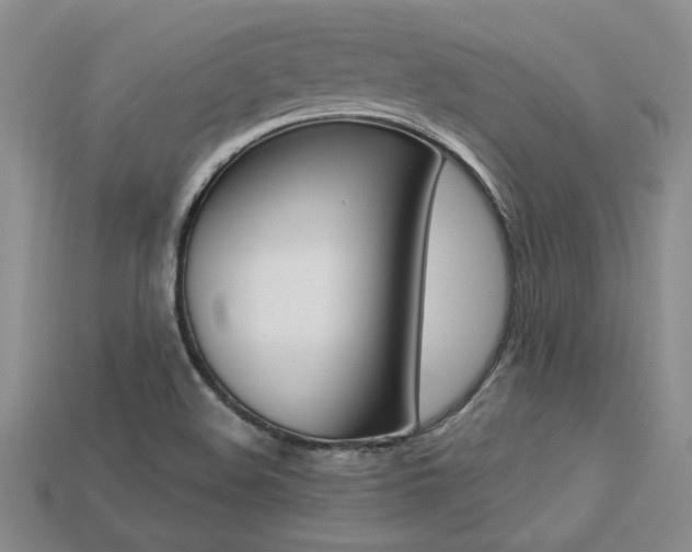 X0000113271508200909101300