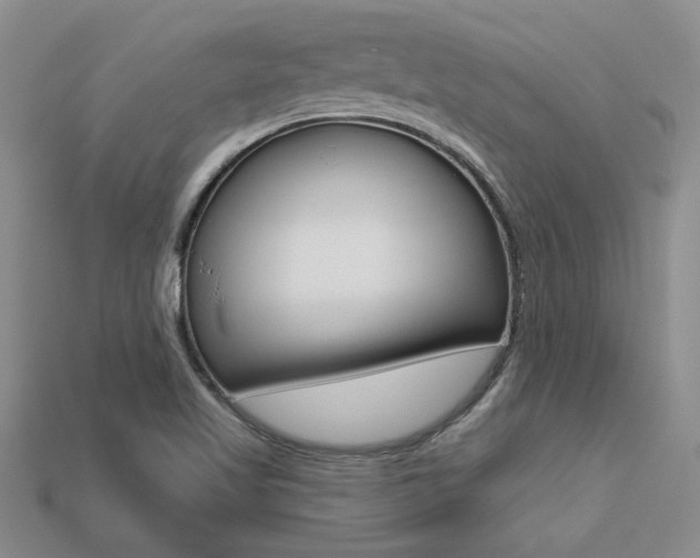 X0000113271509200909101300