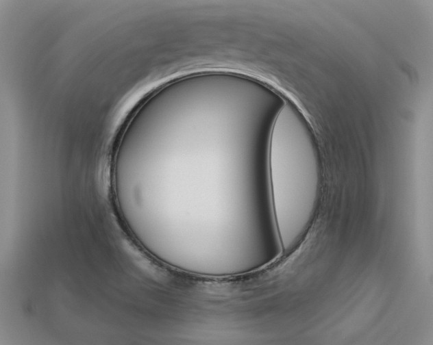 X0000113271511200909101300