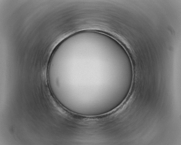 X0000113271513200909101300