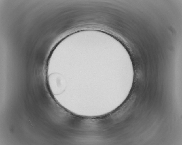 X0000113271514200909101300