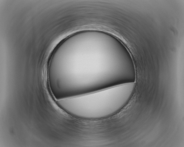 X0000113271515200909101300