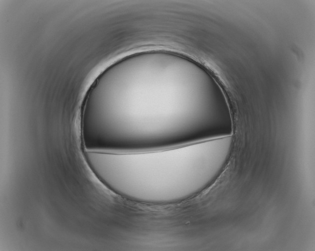 X0000113271516200909101300
