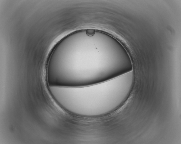X0000113271517200909101300