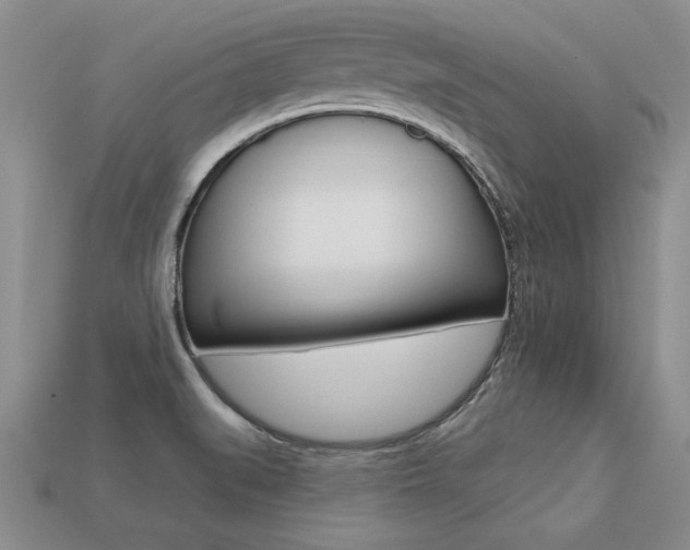X0000113271519200909101300