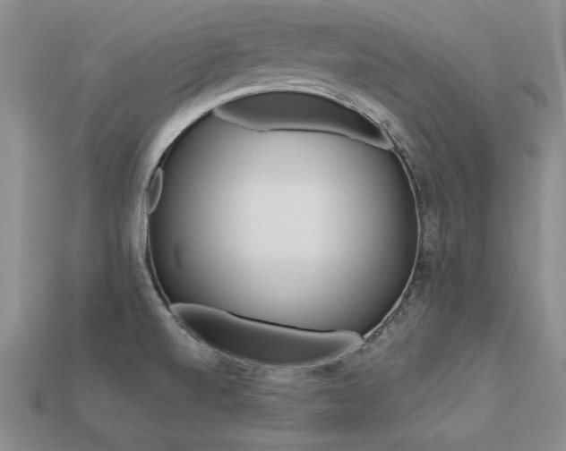 X0000113271520200909101300