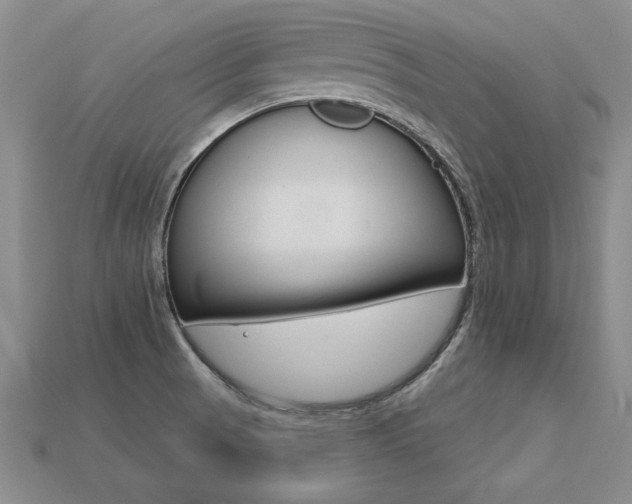 X0000113271521200909101300
