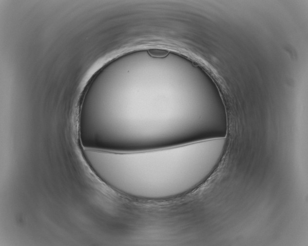 X0000113271522200909101300