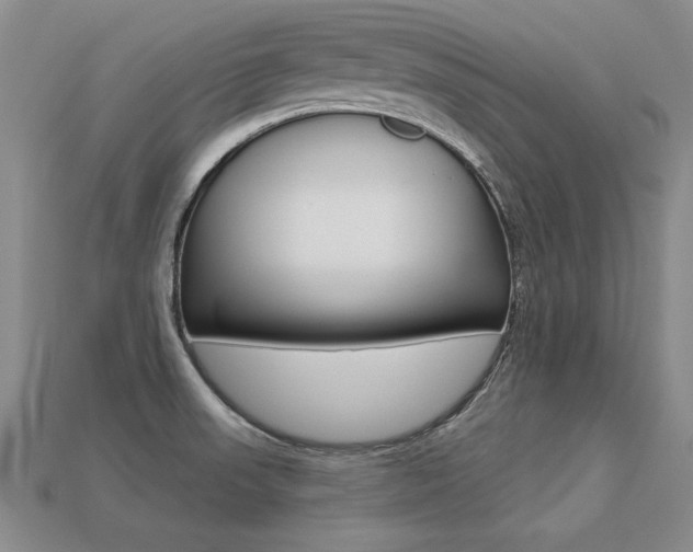 X0000113271523200909101300