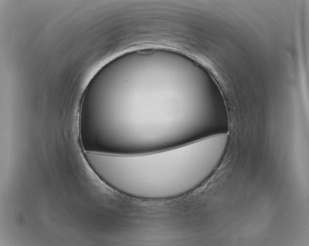 X0000113271524200909101300