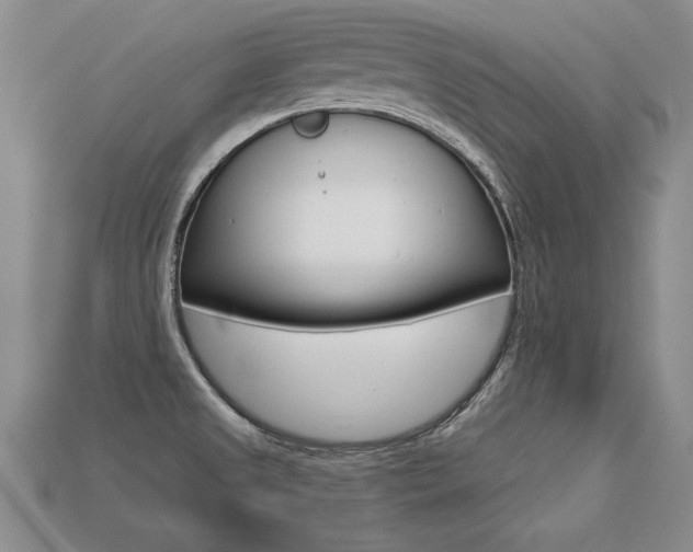 X0000113271525200909101300