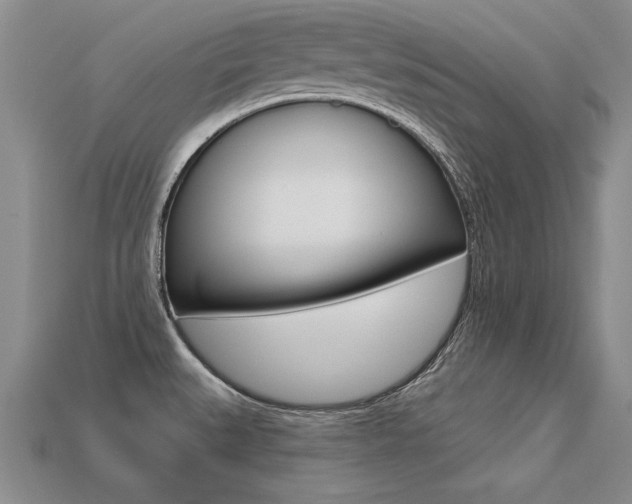 X0000113271527200909101300