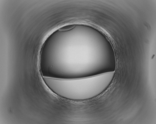 X0000113271528200909101300