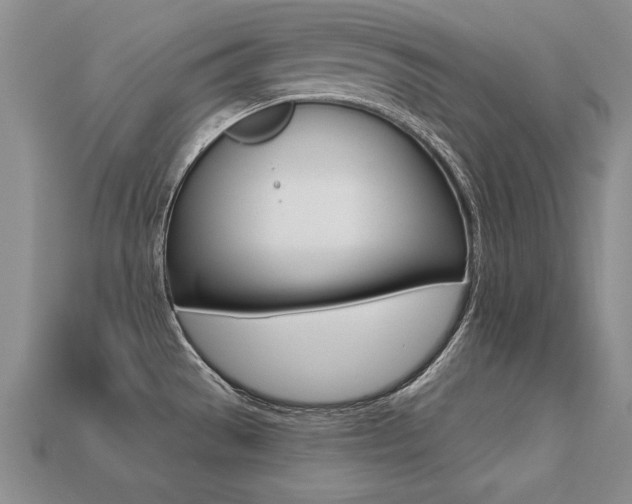 X0000113271529200909101300