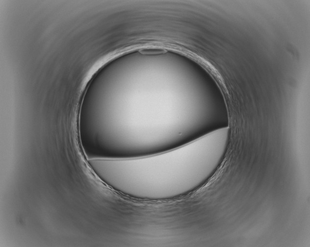 X0000113271530200909101300