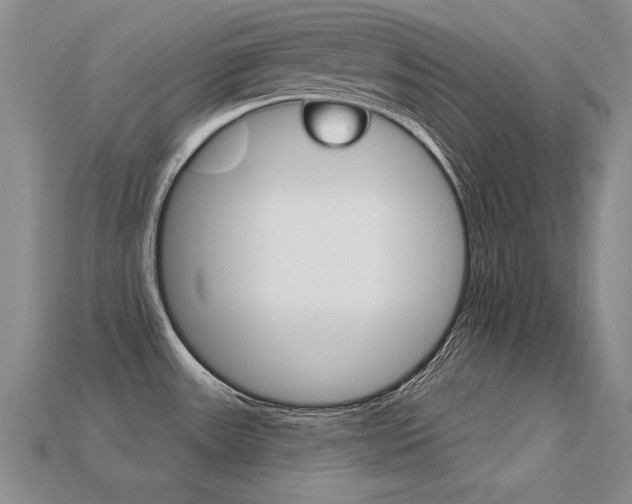X0000113271531200909101300