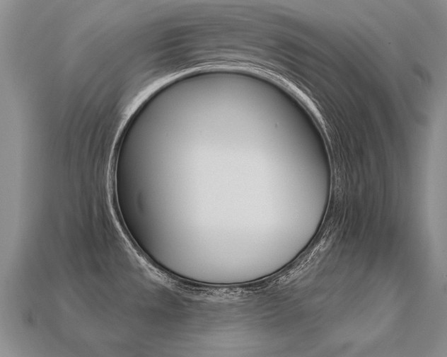 X0000113271533200909101300
