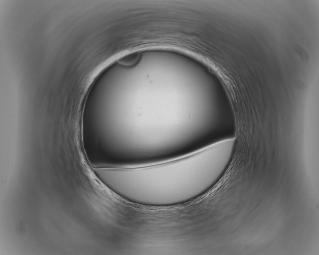 X0000113271534200909101300