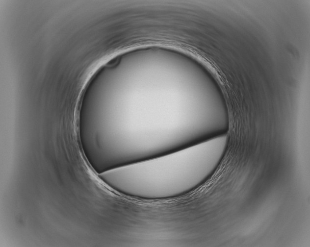 X0000113271535200909101300