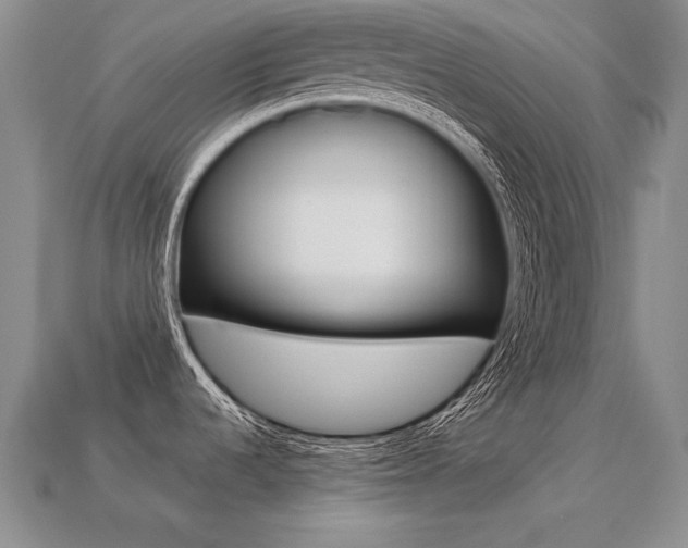 X0000113271536200909101300
