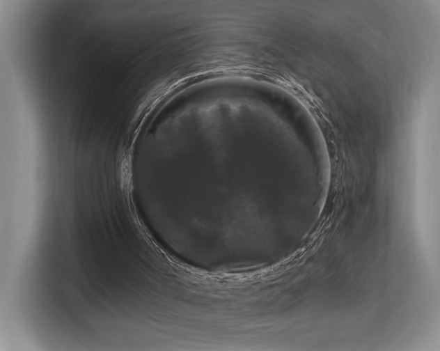 X0000113270002200909101528