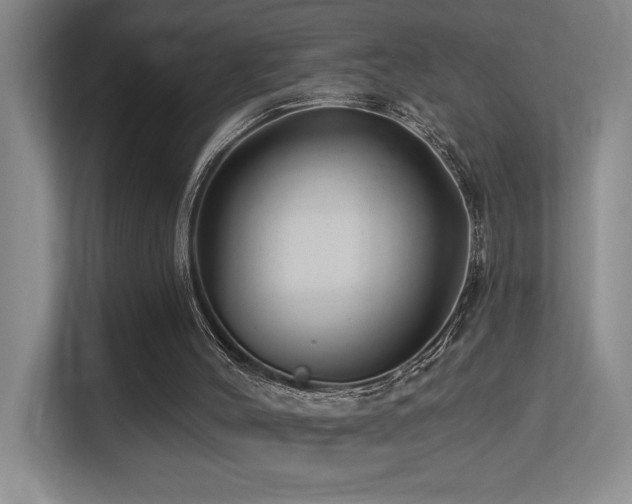 X0000113270004200909101528