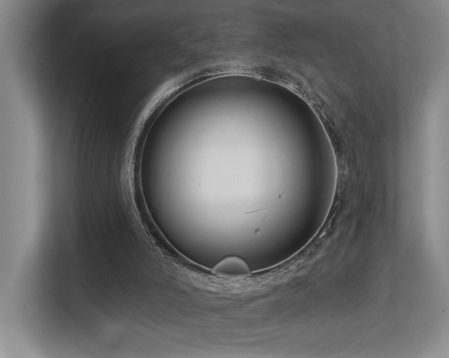 X0000113270006200909101528