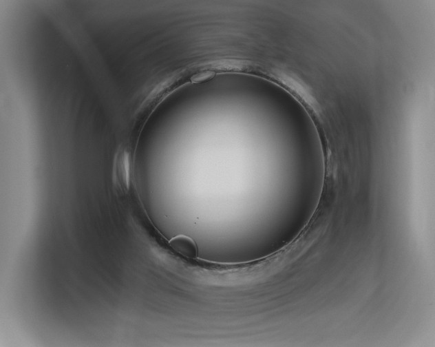 X0000113270013200909101528