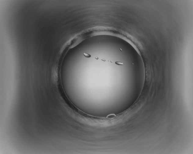 X0000113270015200909101528