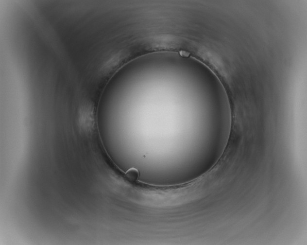 X0000113270017200909101528
