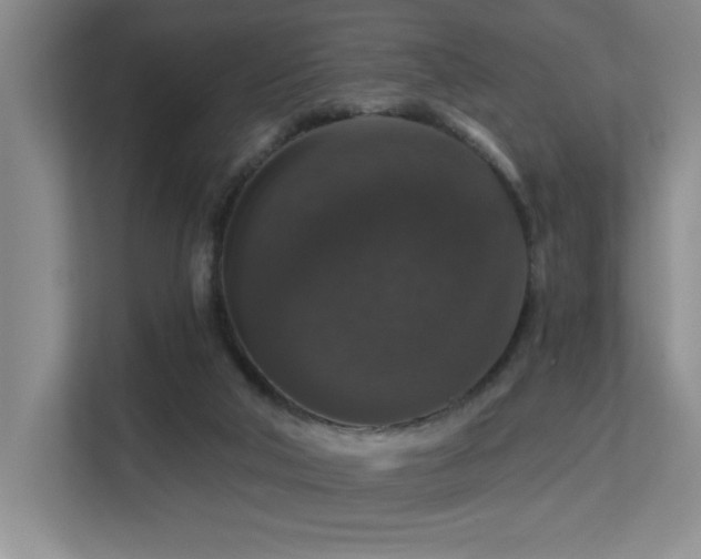 X0000113270018200909101528