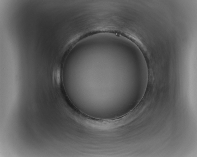 X0000113270019200909101528