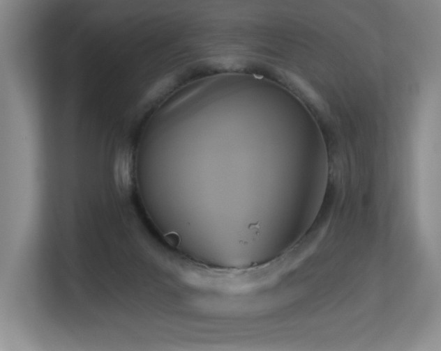 X0000113270023200909101528
