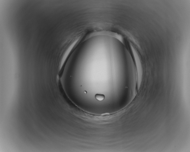 X0000113270027200909101528
