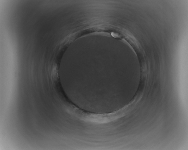 X0000113270029200909101528