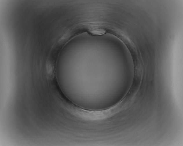 X0000113270031200909101528