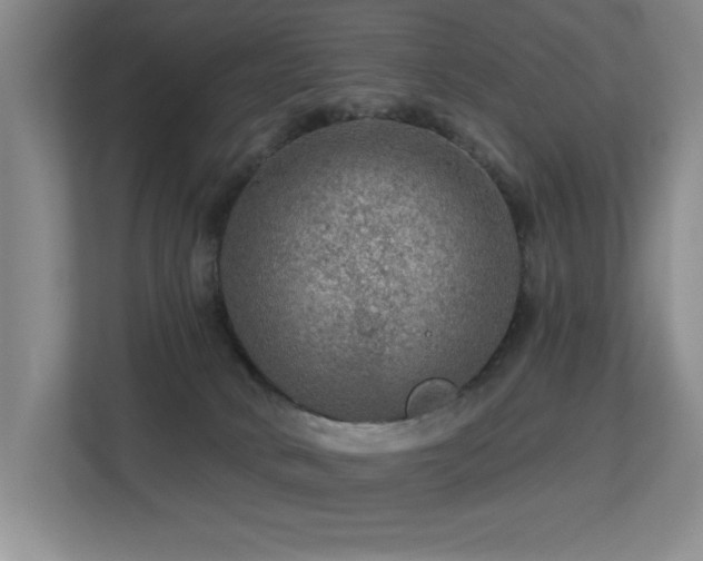 X0000113270034200909101528