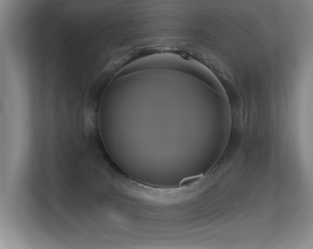 X0000113270035200909101528